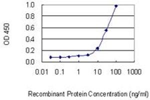 Detection limit for recombinant GST tagged PRPF4B is 1 ng/ml as a capture antibody.