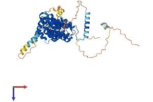 Bystin-Like Protein (BYSL) (AA 1-436) (His tag)