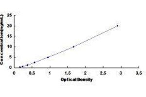 ELISA image for Aminopeptidase Puromycin Sensitive (NPEPPS) ELISA Kit (ABIN3167339) (NPEPPS ELISA Kit)