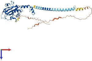 PCYT1A Protein (AA 1-367) (His tag)