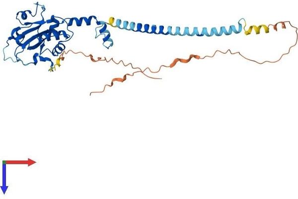 PCYT1A Protein (AA 1-367) (His tag)