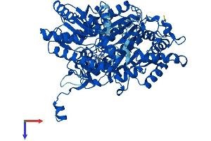 UROC1 Protein (AA 1-676) (His tag)