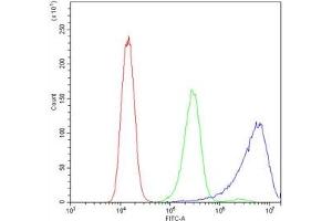 Flow cytometry testing of human A431 cells with Calpastatin antibody at 1ug/10^6 cells (blocked with goat sera)