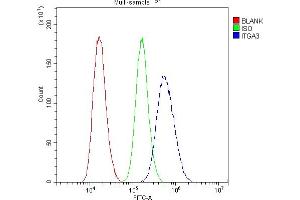 anti-Integrin, alpha 3 (ITGA3) antibody