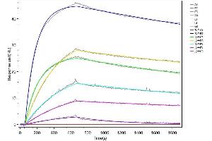 Human IL4 captured on Protein A Chip can bind Recombinant Human IL4R with an affinity constant of 17.