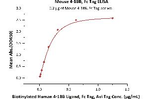 Immobilized Mouse 4-1BB, Fc Tag (ABIN2870706,ABIN2870707) at 2 μg/mL (100 μL/well) can bind Biotinylated Human 4-1BB Ligand, Fc Tag, Avi Tag (ABIN5954977,ABIN6253642) with a linear range of 0.