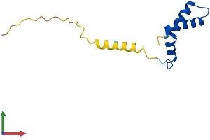 Protein Structure (PS) image for Dpy-30 Homolog (DPY30) (AA 1-99) protein (His tag) (ABIN7547145)