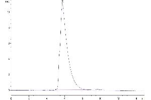 The purity of Human FcRH6 /FCRL6 is greater than 95 % as determined by SEC-HPLC.