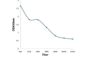 Antigen: 0. (Retinoblastoma 1 Antikörper  (pThr821))