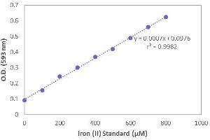 Typical standard curve (FRAP Antioxidant Capacity Assay Kit)