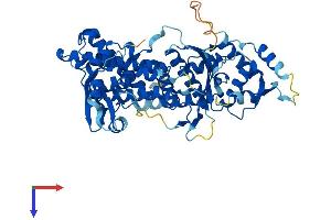DALRD3 Protein (AA 1-538) (His tag)