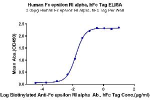 Immobilized Human Fc epsilon RI alpha, hFc Tag at 0. (Fc epsilon RI/FCER1A Protein (AA 26-205) (Fc Tag))