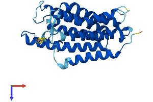 SRD5A2 Protein (AA 1-254) (His tag)
