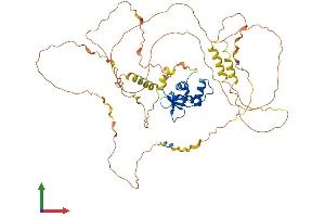 AlphaFold protein structure predicition of Mouse Recombinant Erf Protein, UniprotID P70459