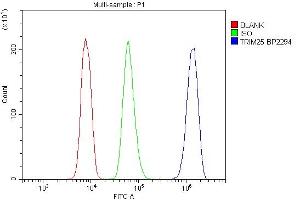 Flow Cytometry analysis of U937 cells using anti-TRIM25 antibody (ABIN7599495).