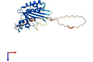 MAF1 Protein (AA 1-256) (His tag)