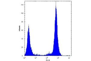 TLR4 antibody flow cytometric analysis of U251 cells (right histogram) compared to a negative control (left histogram). (TLR4 Antikörper  (AA 669-698))