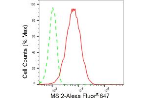 Flow cytometric analysis of MSI2 expression in HepG2 cells using MSI2 antibody (ABIN7799495), 1:2,000). (Rekombinanter MSI2 Antikörper)