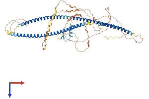 TBKBP1 Protein (AA 1-611) (His tag)