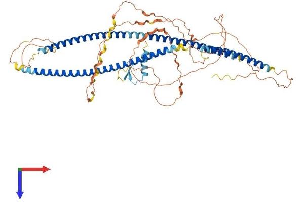 TBKBP1 Protein (AA 1-611) (His tag)