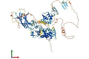 AlphaFold protein structure predicition of Mouse Recombinant Nedd4 Protein, UniprotID P46935