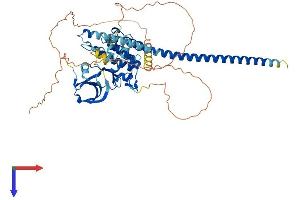MAP3K7 Protein (AA 1-579) (His tag)