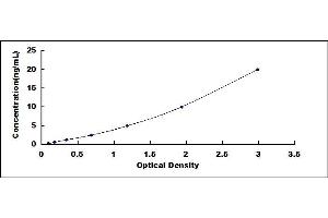 Typical standard curve (ATP6AP2 ELISA Kit)