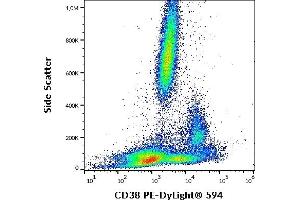 Flow cytometry surface staining pattern of human peripheral whole blood stained using anti-human CD38 (HIT2) PE-DyLight® 594 (4 μL reagent / 100 μL of peripheral whole blood). (CD38 Antikörper  (PE-DyLight 594))