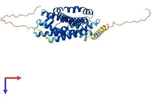 CXCR4 Protein (AA 1-352) (His tag)