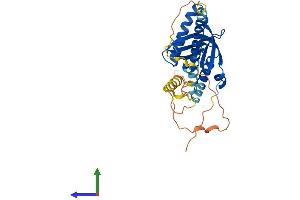 Protein Structure (PS) image for GULP, Engulfment Adaptor PTB Domain Containing 1 (GULP1) (AA 1-304) protein (His tag) (ABIN7559496)