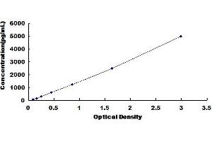 Typical Standard Curve for Mouse SCGN ELISA.
