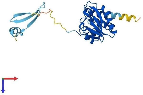 DUSP19 Protein (AA 1-217) (His tag)