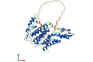 Protein Structure (PS) image for SAC3 Domain Containing 1 (SAC3D1) (AA 1-427) protein (His tag) (ABIN7562007)
