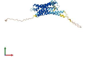 Protein Structure (PS) image for Serotonin Receptor 5A (HTR5A) (AA 1-357) protein (His tag) (ABIN7563100)
