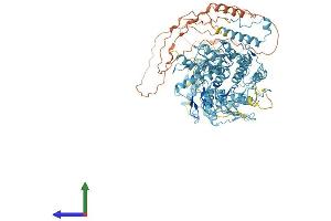 Protein Structure (PS) image for Zinc Finger Protein 814 (ZNF814) (AA 1-855) protein (His tag) (ABIN7545360)