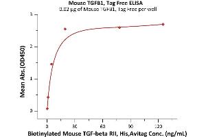 ELISA image for Transforming Growth Factor, beta 1 (TGFB1) (AA 279-390) (Active) protein (ABIN6992332)