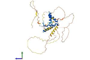 AlphaFold protein structure predicition of Human Recombinant SOX1 Protein, UniprotID O00570 (SOX1 Protein (AA 1-391) (His tag))