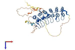 NFKBIB Protein (AA 1-359) (His tag)