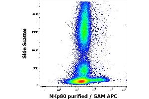 Flow cytometry surface staining pattern of human peripheral whole blood stained using anti-human NKp80 (5D12) purified antibody (concentration in sample 1,7 μg/mL, GAM APC). (KLRF1 Antikörper  (Extracellular Domain))