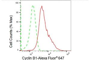 Flow cytometric analysis of Cyclin B1 expression in HepG2 cells using Cyclin B1 antibody (ABIN7798191), 1:2,000). (Rekombinanter Cyclin B1 Antikörper)