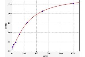 Midkine ELISA Kit