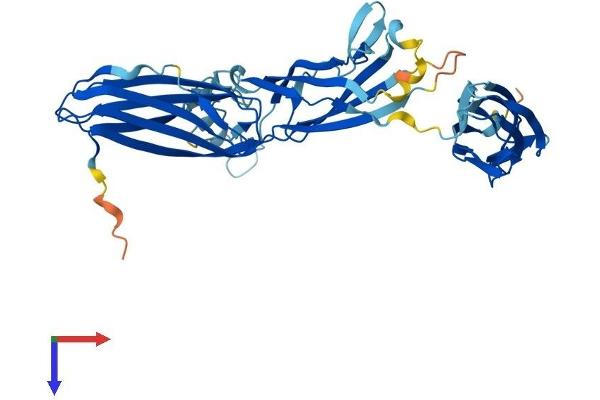 TRAPPC13 Protein (AA 1-417) (His tag)