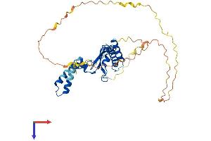 KHDRBS2 Protein (AA 1-349) (His tag)