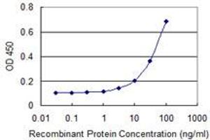 Detection limit for recombinant GST tagged NFKBIB is 1 ng/ml as a capture antibody. (NFKBIB Antikörper  (AA 56-145))