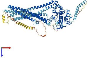 ABCD1 Protein (AA 1-736) (His tag)