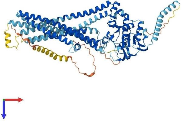 ABCD1 Protein (AA 1-736) (His tag)