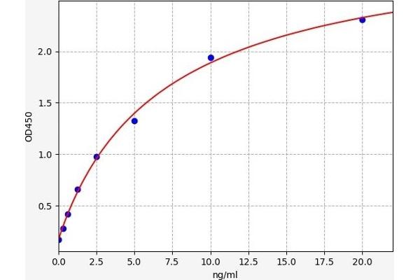 EGR2 ELISA Kit