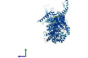 AlphaFold protein structure predicition of Human Recombinant WASHC5 Protein, UniprotID Q12768