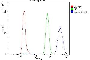Flow Cytometry analysis of NRK cells using anti-U2AF2 antibody (ABIN7600793).