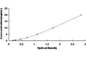 Typical standard curve (SLC1A1 ELISA Kit)